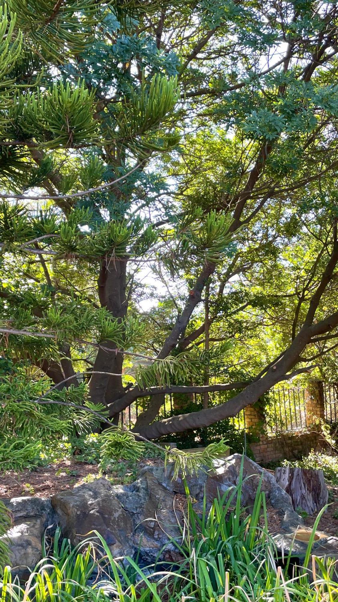 Unique Hout Bay House Villa ภายนอก รูปภาพ